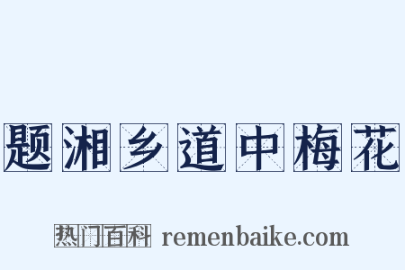 题湘乡道中梅花是什么意思的图片